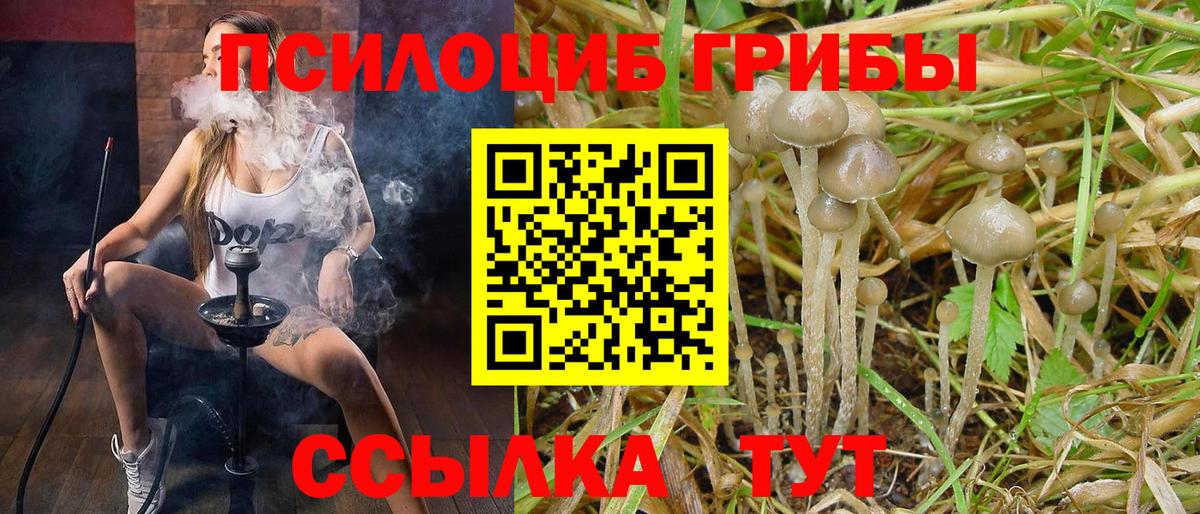 Галлюциногенные грибы GOLDEN TEACHER Лянтор